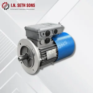ISI Marked IE2 Electric Motors