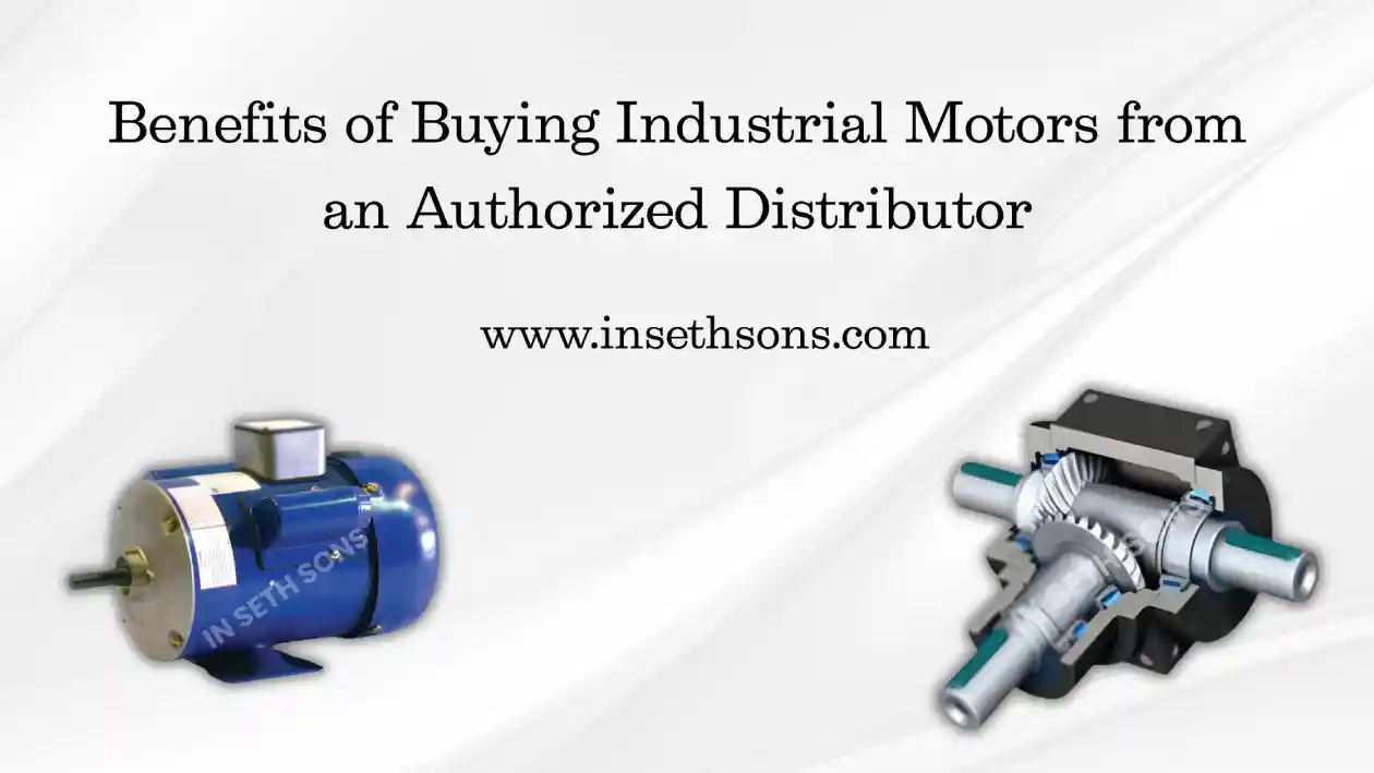Industrial Motor