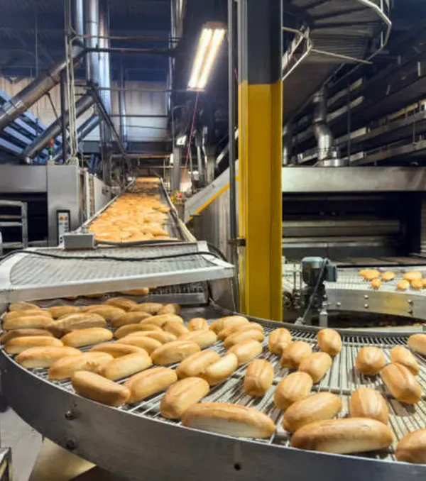 Food Processing & Packaging